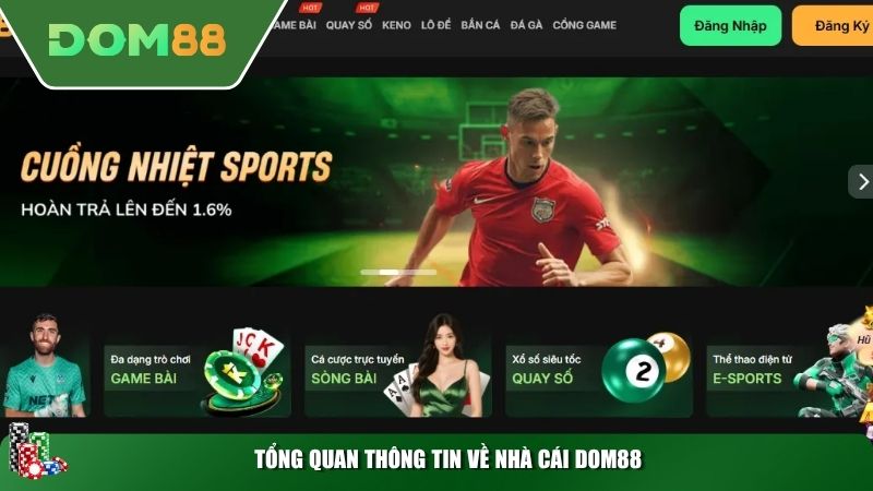 Tổng quan thông tin về nhà cái DOM88