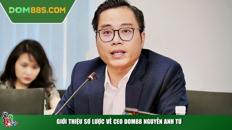 Giới thiệu sơ lược về CEO Dom88 Nguyễn Anh Tú