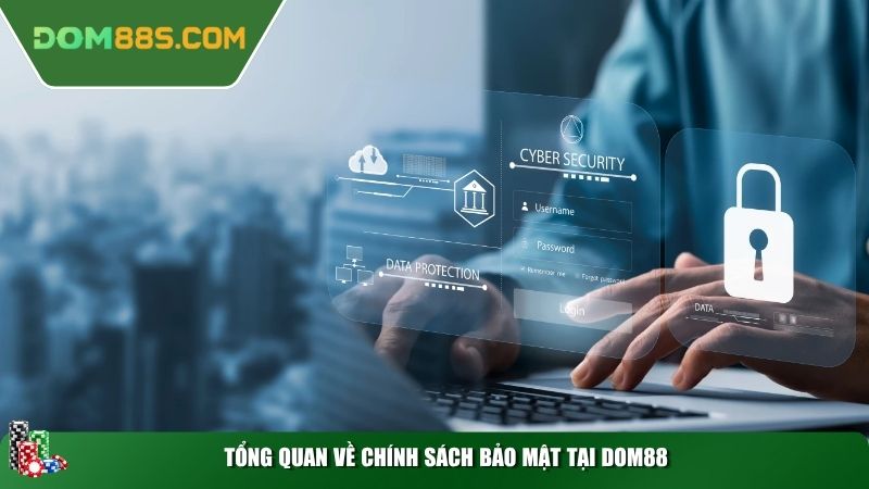 Tổng quan về chính sách bảo mật tại Dom88