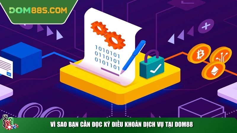 Vì sao bạn cần đọc kỹ điều khoản dịch vụ tại Dom88
