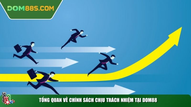 Tổng quan về chính sách chịu trách nhiệm tại Dom88