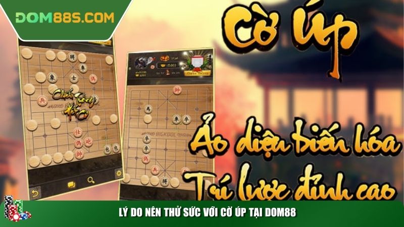 Lý do nên thử sức với cờ úp tại Dom88