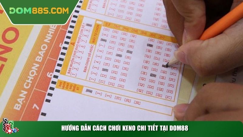 Hướng dẫn cách chơi Keno chi tiết tại Dom88