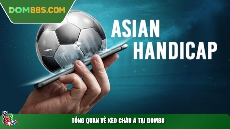 Tổng quan về Kèo Châu Á tại Dom88
