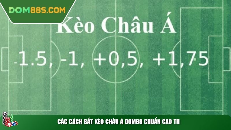 Các cách bắt kèo Châu Á Dom88 chuẩn cao thủ