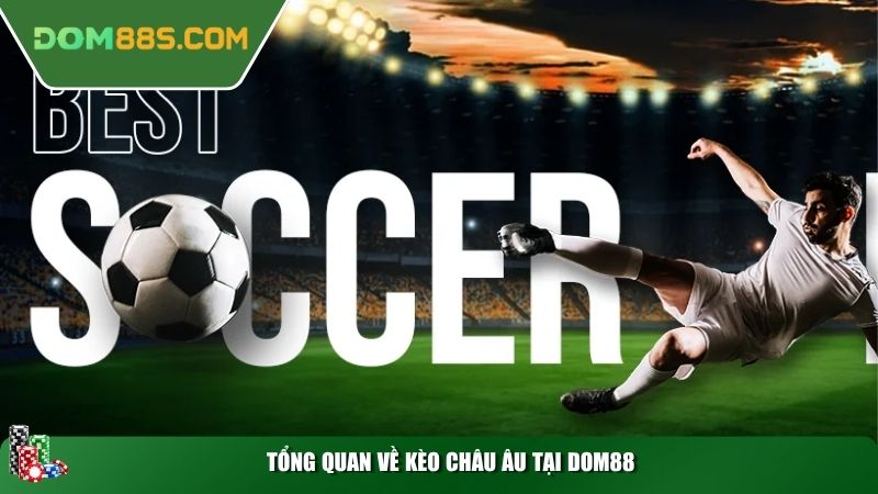 Tổng quan về kèo Châu Âu tại Dom88
