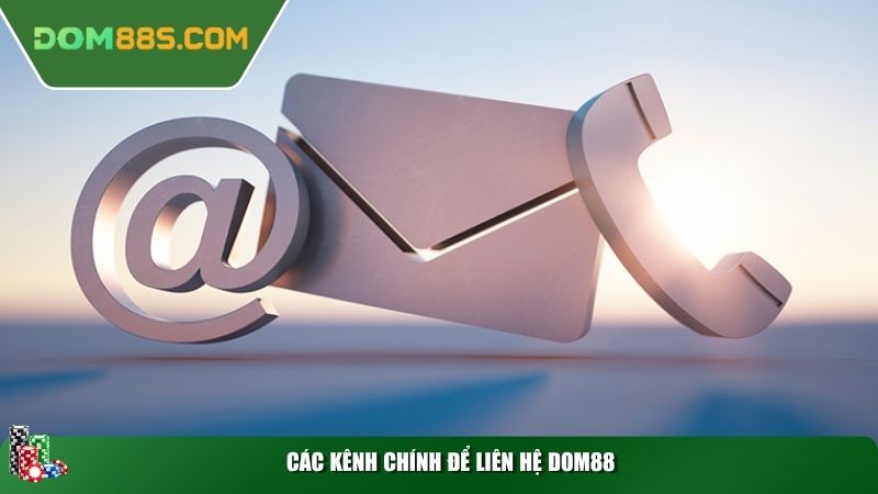 Các kênh chính để liên hệ Dom88