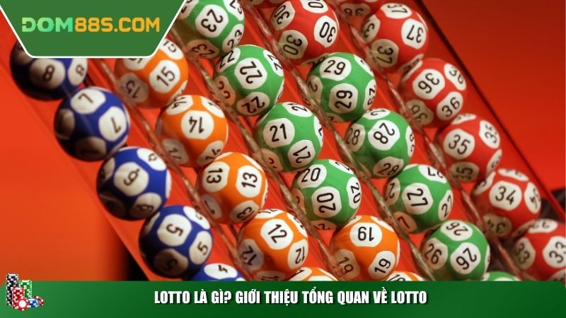 Lotto là gì? Giới thiệu tổng quan về Lotto