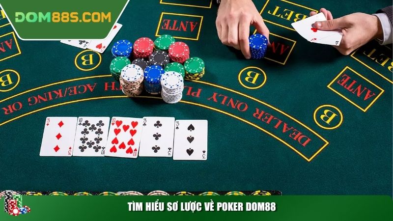 Tìm hiểu sơ lược về Poker Dom88