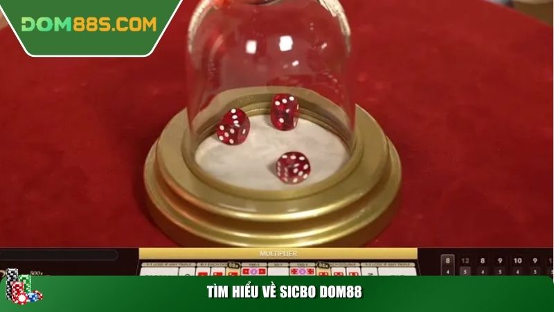 Tìm hiểu về Sicbo DOM88