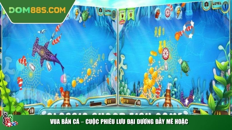 Vua Bắn Cá – Cuộc phiêu lưu đại dương đầy mê hoặc