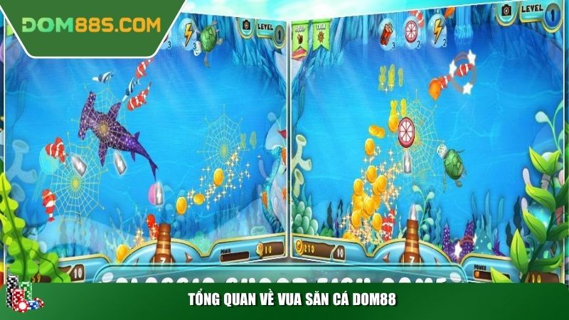 Tổng quan về Vua Săn Cá Dom88